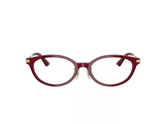 Jimmy Choo Naočale 3029D 5062