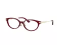 Jimmy Choo Naočale 3029D 5062