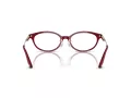 Jimmy Choo Naočale 3029D 5062