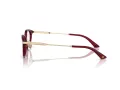 Jimmy Choo Naočale 3029D 5062