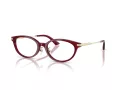 Jimmy Choo Naočale 3029D 5062