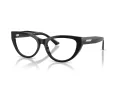 Jimmy Choo Naočale 3030B 5000