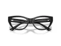 Jimmy Choo Naočale 3030B 5000