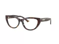 Jimmy Choo Naočale 3030B 5002