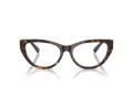 Jimmy Choo Naočale 3030B 5002