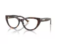 Jimmy Choo Naočale 3030B 5002