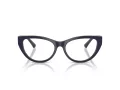 Jimmy Choo Naočale JC 3030B 5016