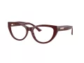 Jimmy Choo Naočale 3030B 5057