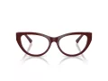 Jimmy Choo Naočale 3030B 5057