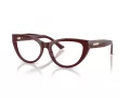 Jimmy Choo Naočale 3030B 5057