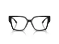 Jimmy Choo Naočale 3032B 5000