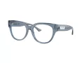 Jimmy Choo Naočale 3035 5067
