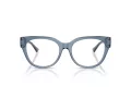 Jimmy Choo Naočale 3035 5067