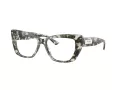 Jimmy Choo Naočale 3036 5068
