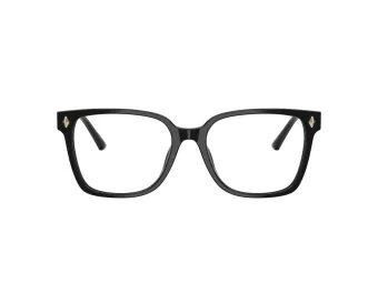 Jimmy Choo Naočale 3038D 5000