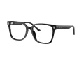 Jimmy Choo Naočale 3038D 5000