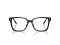 Jimmy Choo Naočale 3038D 5000