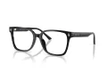 Jimmy Choo Naočale 3038D 5000