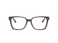 Jimmy Choo Naočale 3038D 5002
