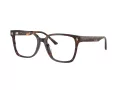 Jimmy Choo Naočale 3038D 5002