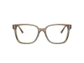 Jimmy Choo Naočale 3038D 5051