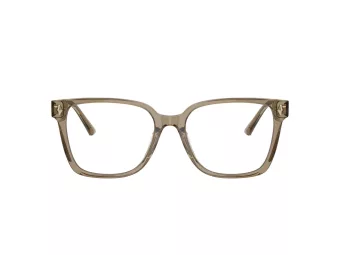 Jimmy Choo Naočale 3038D 5051