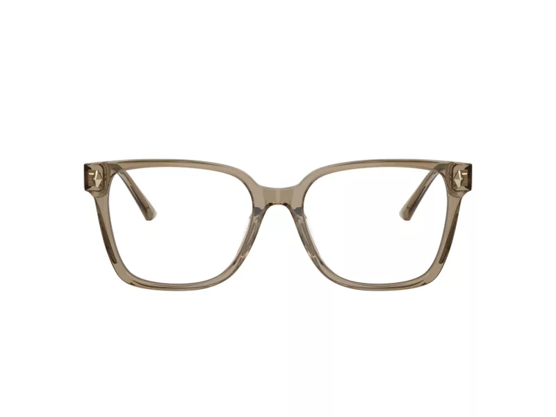 Jimmy Choo Naočale 3038D 5051