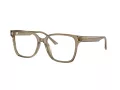 Jimmy Choo Naočale 3038D 5051