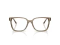 Jimmy Choo Naočale 3038D 5051