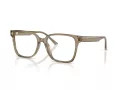 Jimmy Choo Naočale 3038D 5051