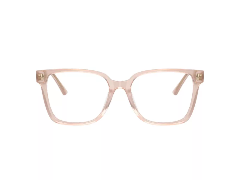 Jimmy Choo Naočale 3038D 5052