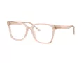 Jimmy Choo Naočale 3038D 5052