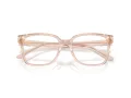 Jimmy Choo Naočale 3038D 5052