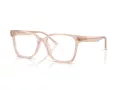 Jimmy Choo Naočale 3038D 5052