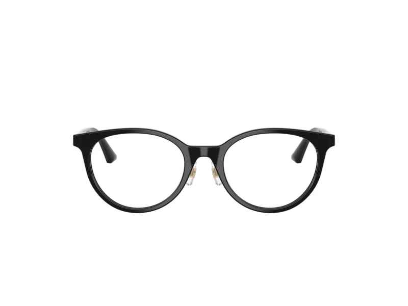 Jimmy Choo Naočale 3039D 5000