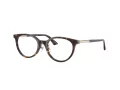 Jimmy Choo Naočale 3039D 5002