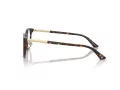 Jimmy Choo Naočale 3039D 5002