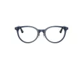Jimmy Choo Naočale 3039D 5035