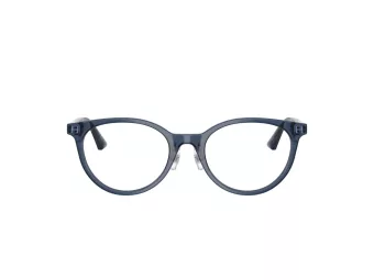 Jimmy Choo Naočale 3039D 5035