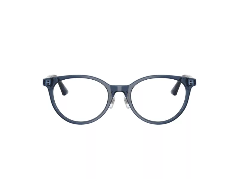 Jimmy Choo Naočale 3039D 5035