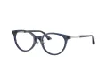 Jimmy Choo Naočale 3039D 5035
