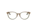 Jimmy Choo Naočale 3039D 5051