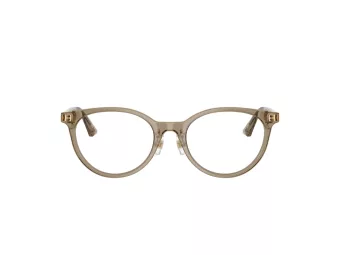 Jimmy Choo Naočale 3039D 5051