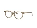 Jimmy Choo Naočale 3039D 5051