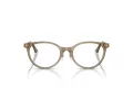 Jimmy Choo Naočale 3039D 5051