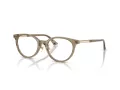 Jimmy Choo Naočale 3039D 5051