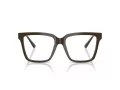 Jimmy Choo Naočale 3040U 5060