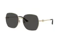 Jimmy Choo Sunčane Naočale 4008HD 300687