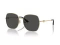 Jimmy Choo Sunčane Naočale 4008HD 300687