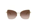 Jimmy Choo Sunčane Naočale 4010B 300613
